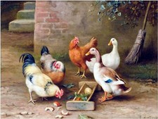 Chickens Ducks Farmyard Accent Tile Mural Kitchen Wall Backsplash Marble Ceramic