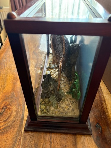 Vintage Taxidermy Style Large CARVED Mirror Carp Fish in Display Case - 第 3/15 張圖片