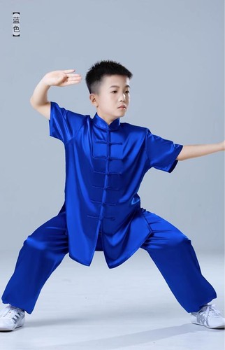 Seda Tradicional Chino Artes Marciales Tai Chi Uniforme Kung Fu Traje Wushu Conjunto - Imagen 10 de 11