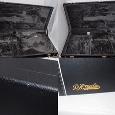 Dangelico Deluxe Brighton Used Electric Guitar