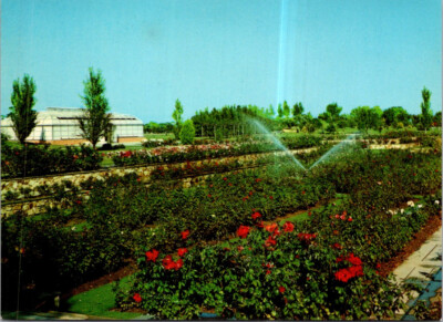 (630) 14-3-25 - Australia - SA - City of Adelaide (Rose Gardens)