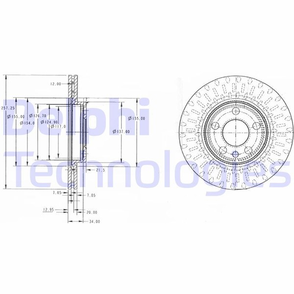 2X Delphi BG3222 Bremsscheibe FüR CitroËN Fiat Peugeot-image