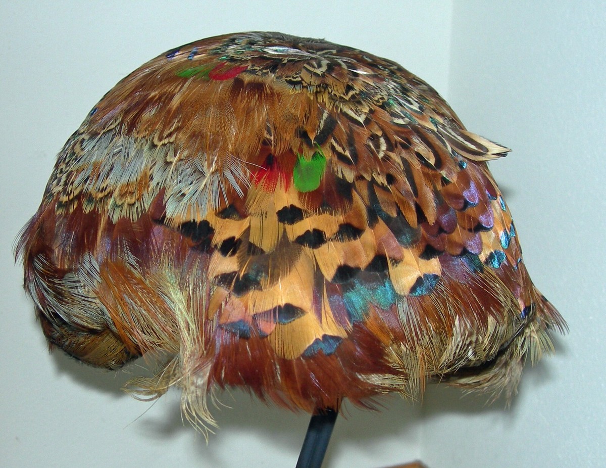 Vintage VTG Jille Original Pheasant? Feather Hat I. Magnin 