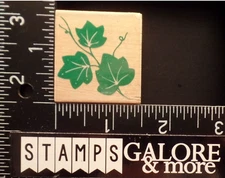 ALL NIGHT MEDIA Rubber Stamps 446D IVY VINE GARDEN PLANT #BIN9