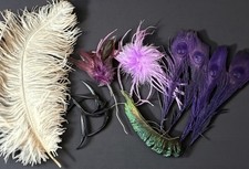 Mixed Lot Vintage Millinery Hat Feather Embellishments 11 Pieces