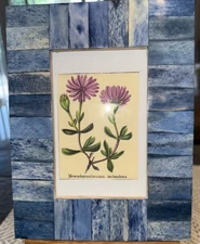 Blue Tone Photo Picture Frame Holds 4 x 6