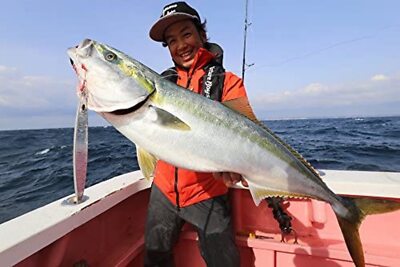 ビッグオーシャン Wiggle Rider 190g 4本セット A Nature Boys metal jig wiggle rider 190g anchovy WR1190-04K