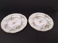 SET OF 2- Theodore Haviland New York  ROSALINDE 6-1/2" Bread Plates FRANCE