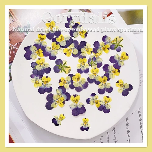 Dried Pressed Flowers Natural Epoxy Resin Candle Nail Art Scrapbooking Craft AU - Picture 139 of 210