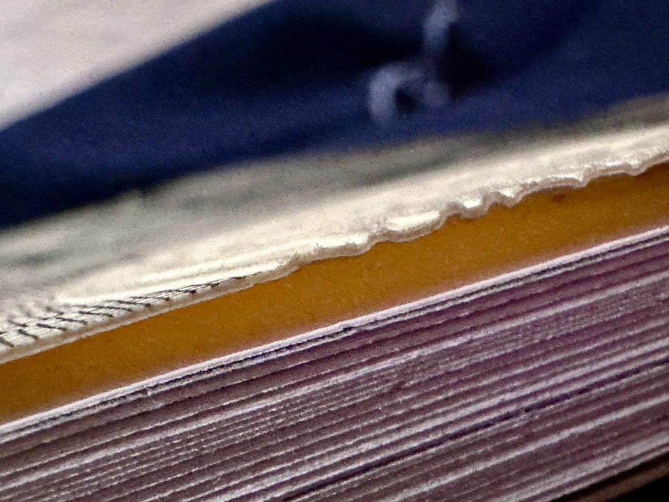 FIRMADO Flema Pluma e Tinta Ilustraciones Libro en Relieve Limitado (CASI COMO NUEVO) Foto 3 de 4