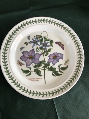 Portmerion Botanic Garden Speiseteller 10,5'' Virgin s Bower TOP ZUSTAND