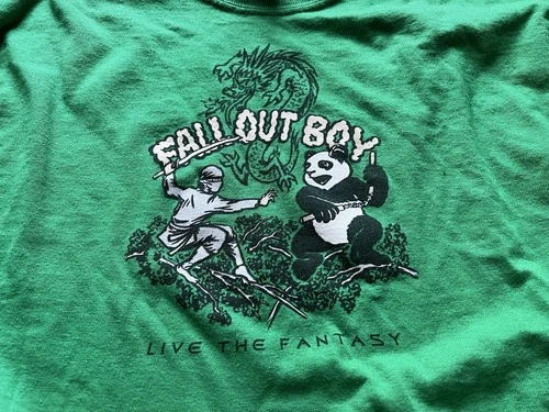 Fall Out Boy Vintage Shirt Vintage vintage concert t-shirt, vintage, single stitch, B+ condition