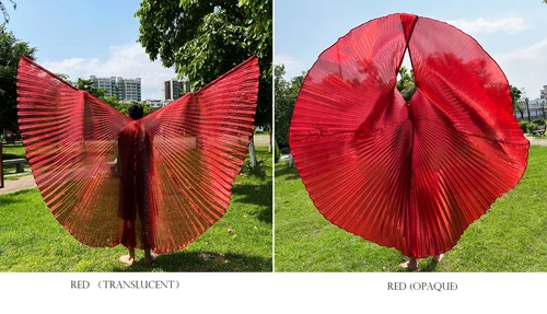 Transparent Belly Dance Wings Stage Performance Dancing Props - Picture 7 of 42