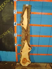 # 7801  flaming box elder Live Edge Slab lumber wood L 66" W 12 1/4" T 1 3/4"