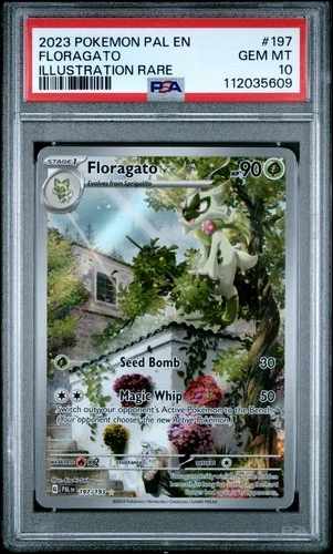 PSA 10 Floragato Illustrator Rare #197 2023 Pokemon Paldea Evolved 112035609