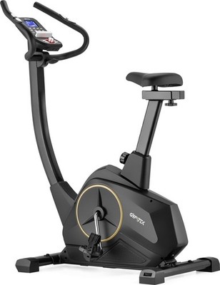 Gymtek  Heimtrainer Fitnessbike bis 150kg 16 Widerstandsstufen 10kg Schwungmasse