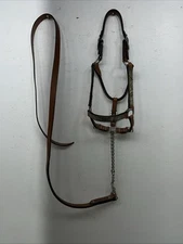 New Light Oil Genuine Leather Show Halter With Lead Rope Silver Accents W-22