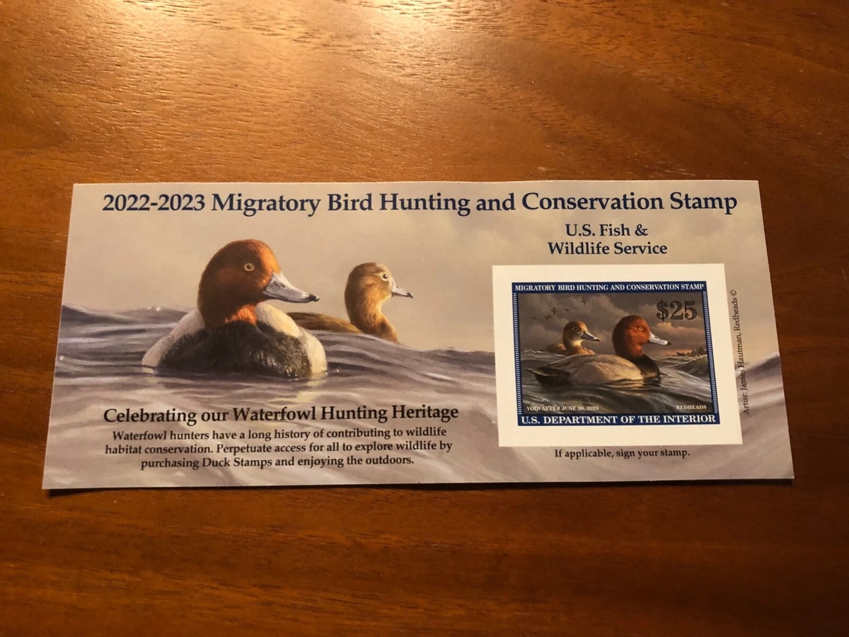 Federal Duck Stamp 2024 Winner: Celebrating Artistic Excellence