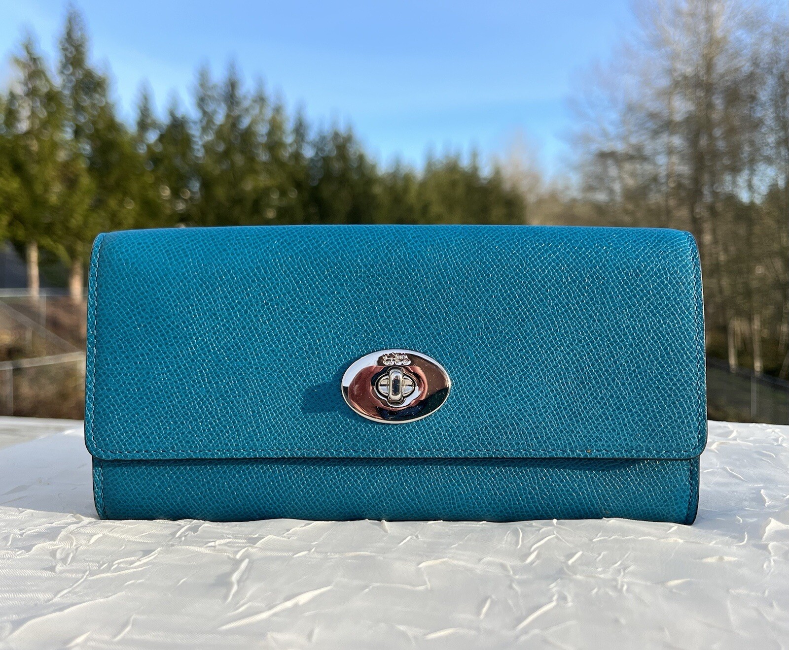 COACH Lot Hand Bag Purses Wallets Sellers Resell Gift Lot Bundle eBay