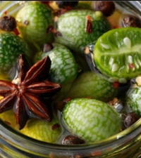 Mexican Sour Gherkin Cucumber Seeds - Cucamelon - Mouse Melon | 20 Seeds $ 1.75