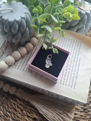 × Carm in Silber | S925 Sterling Silber ×