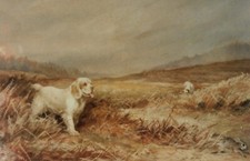 Clumber Spaniels, Limited edition print by R. Ward Binks