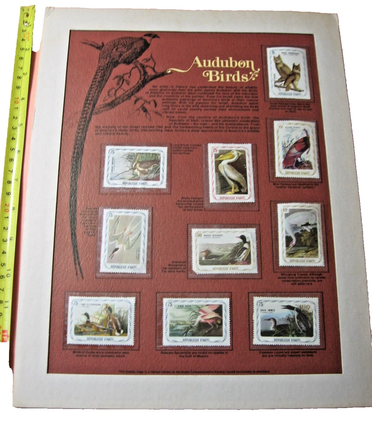 Birds Worldwide Stamp Collections & Lots