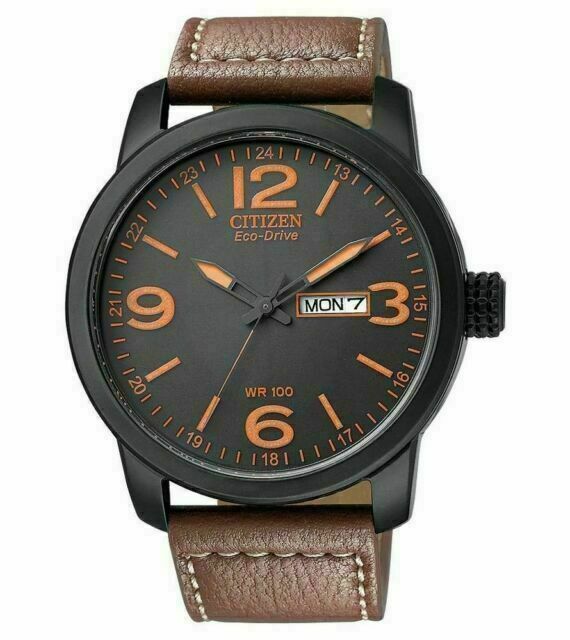 ebay citizen watch