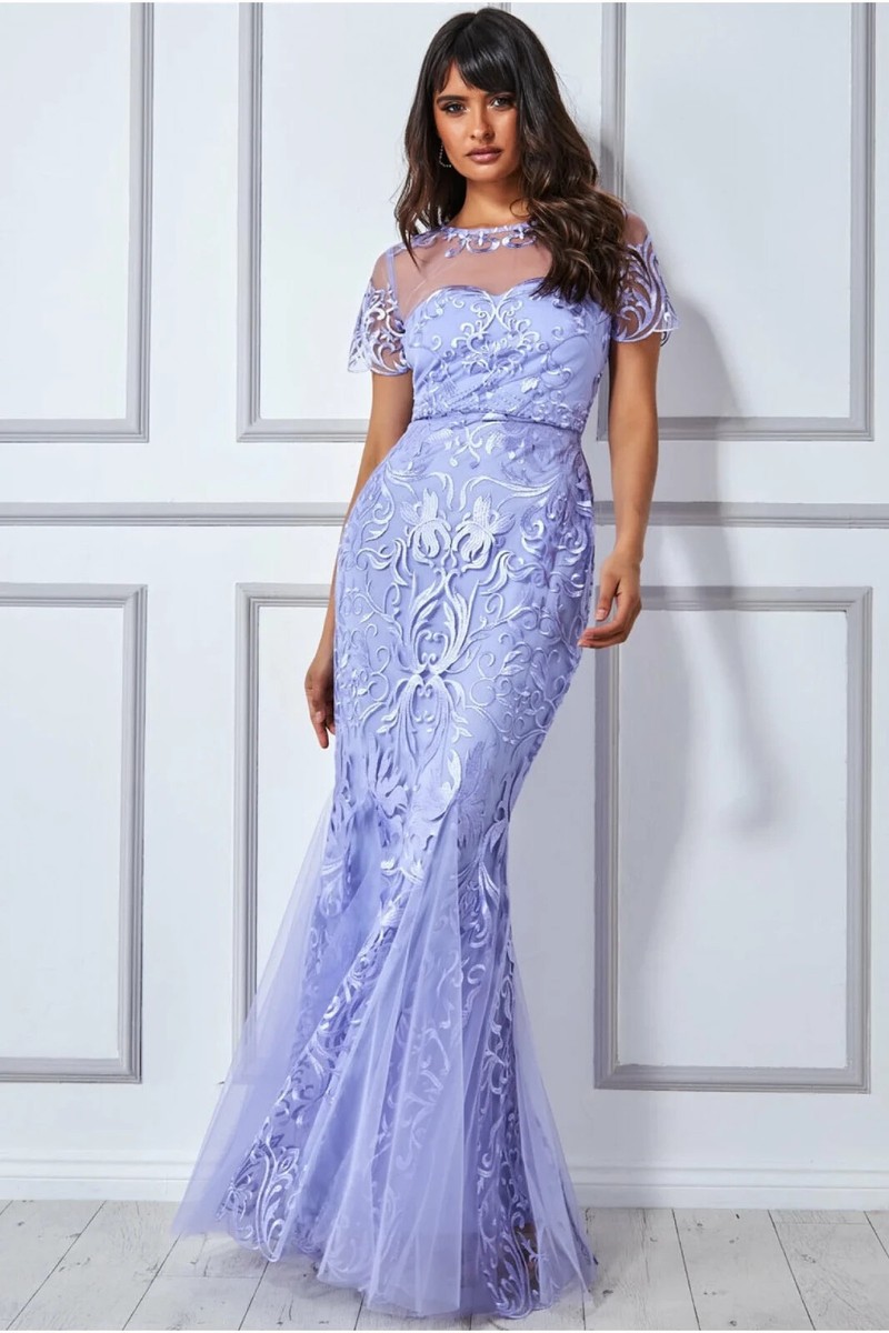 goddiva embroidered mesh maxi dress product info and reviews 1950s Vintage Dress Pink Organza Embroidery Evening Gown – Modig main image 1
