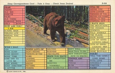 Dizzy Korrespondenz 1940s Postkarte ~ Take It Easy ~ Brauner Bär IN Wälder