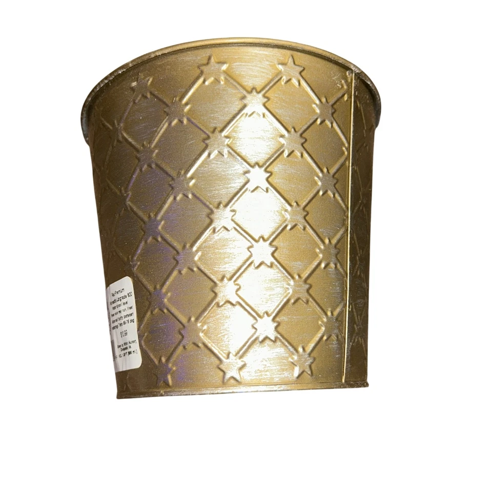 Conjunto de 5 macetas de hojalata con diseño de estrella metálica dorada plateada Foto 4 de 4