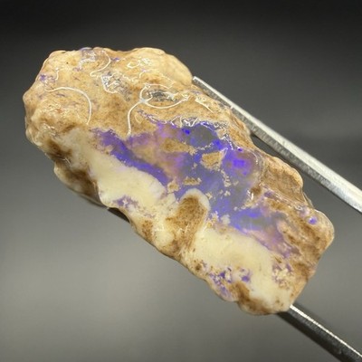14.2 ct Lightning Ridge [Gamble] Opal Nobbies - Western Opal
