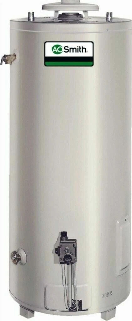 AO Smith BT-60 Conservationist 55 Gallon Commercial Natural