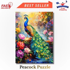 300 Piece Vibrant Colors Jigsaw Puzzle for Adults 20.5 x 15 Inch Art Set