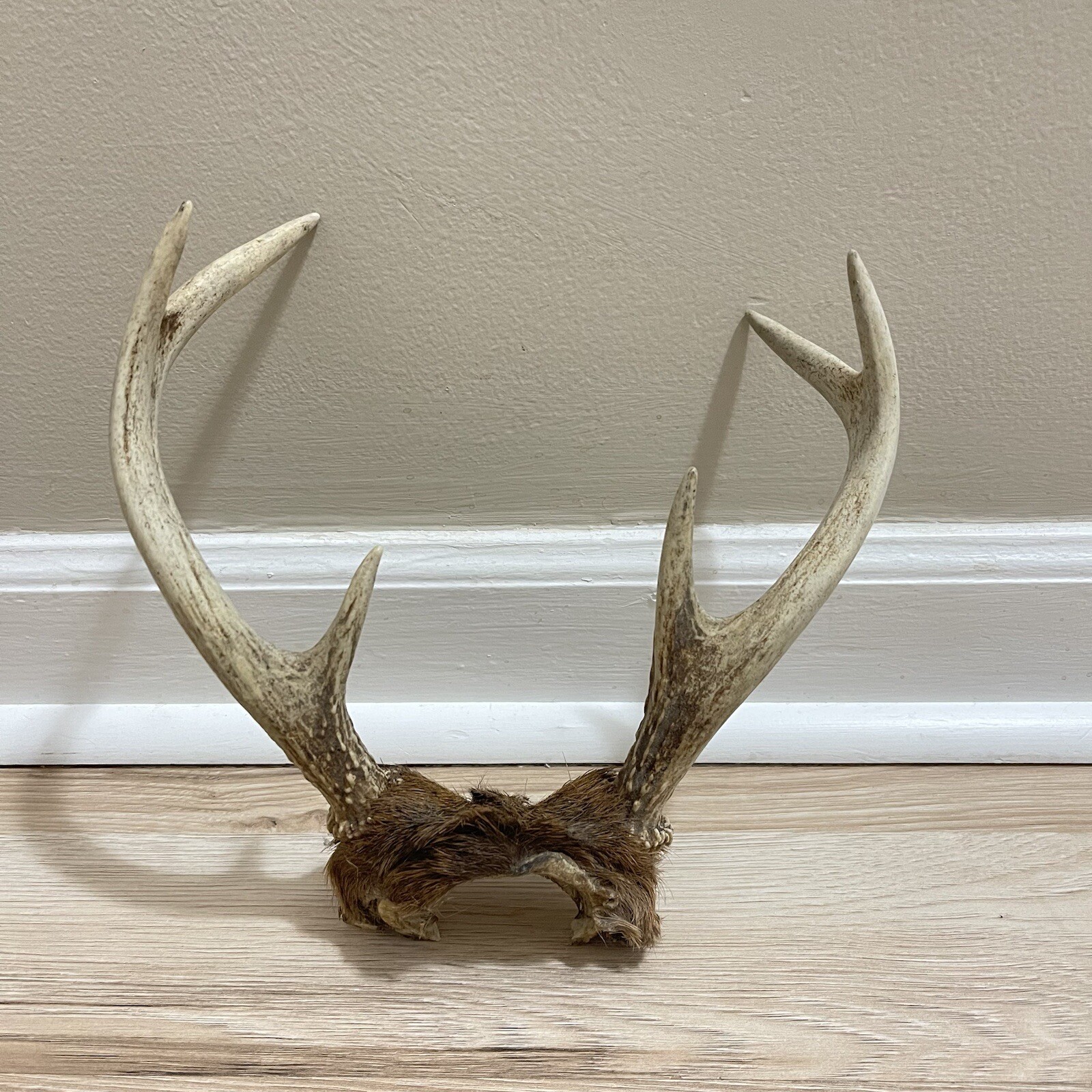 Picture 13 of 24