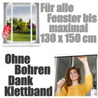 Bild 6 von 7