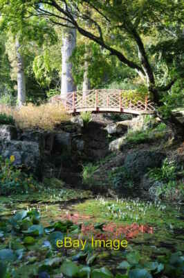 Photo 6x4 Bridge and pond Batsford A lily pond and bridge over a stream i c2013