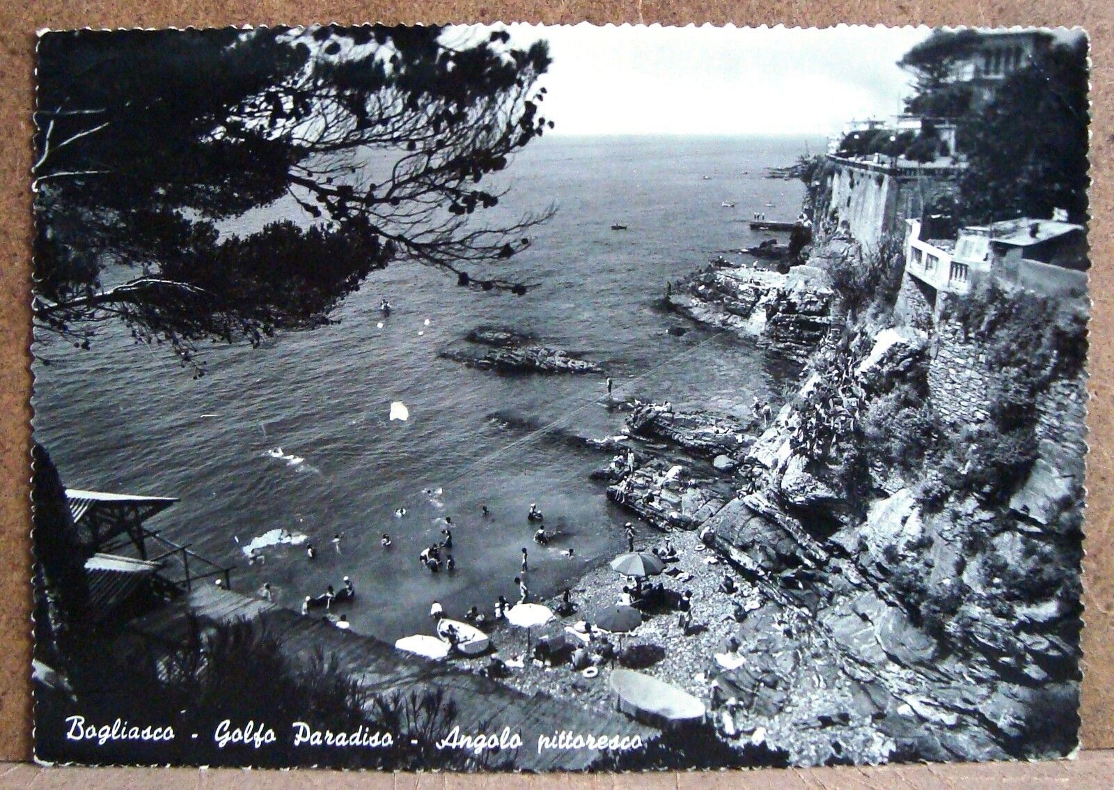 Foto 1 di 1
