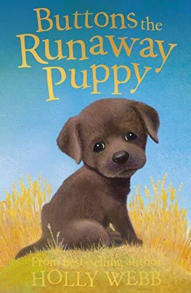 Buttons the Runaway Puppy (Holly Webb Animal Stories),Holly Webb Holly Webb