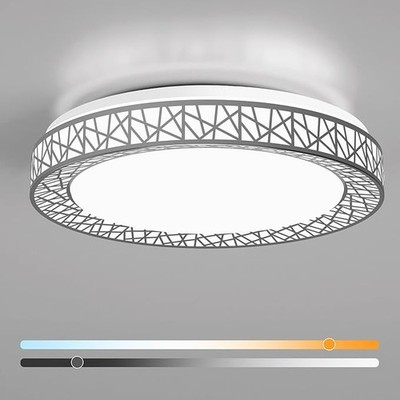 Modern 20 Inch Flush Mount Ceiling Light Brushed Nickel LED 42W 4000LM