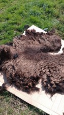 Pure Hebridean Sheep Fleece
