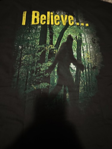 Bigfoot On The Strip Branson Missouri Adult XL Shirt I Believe Amusement Park - 第 4/5 張圖片