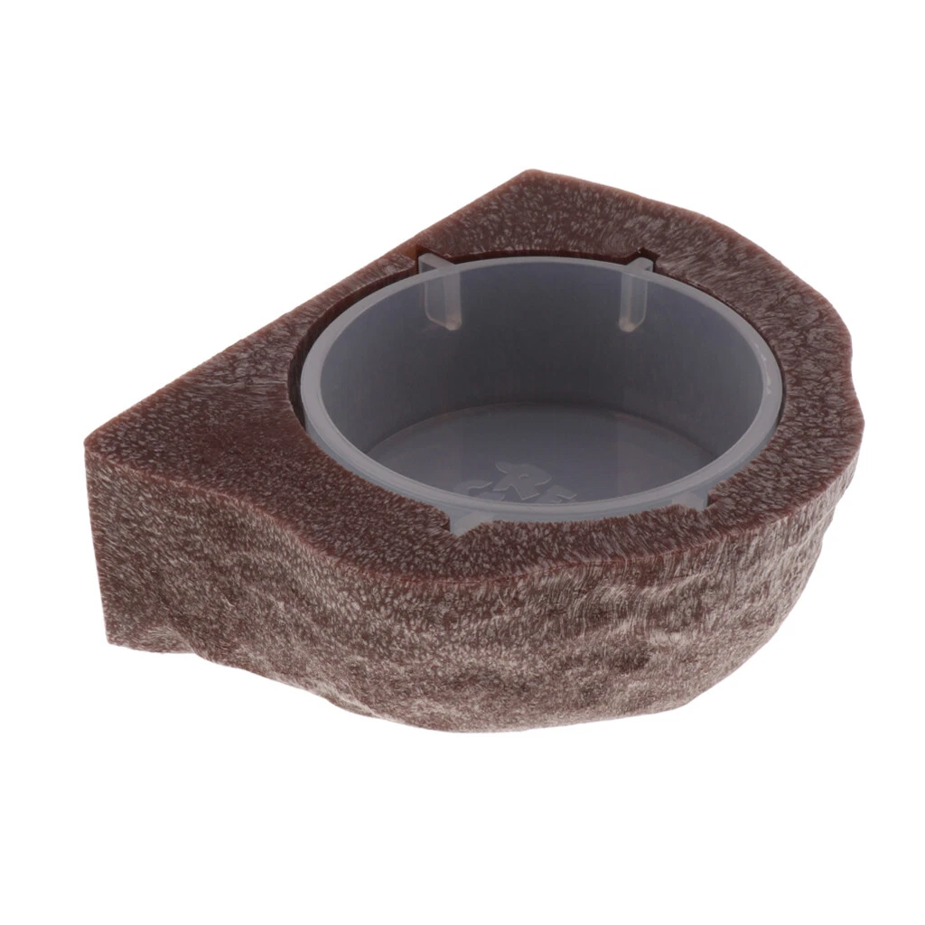 Mini Magnetic Feeding Ledge For Reptile Pet Diet Feeder Brown eBay