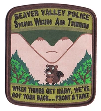 BEAVER VALLEY POLICE SWAT   SERT  ERT   NOVELTY