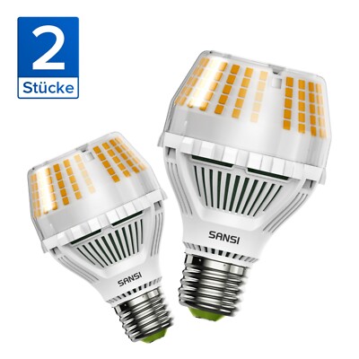 LED Leuchte Leuchtmittel Lampe 4000lm A19 E27 Warmweiß 25W GLS Birne CE 2PACK