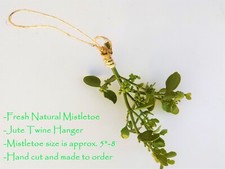 Fresh Mistletoe with Jute Hanger 5"-8"