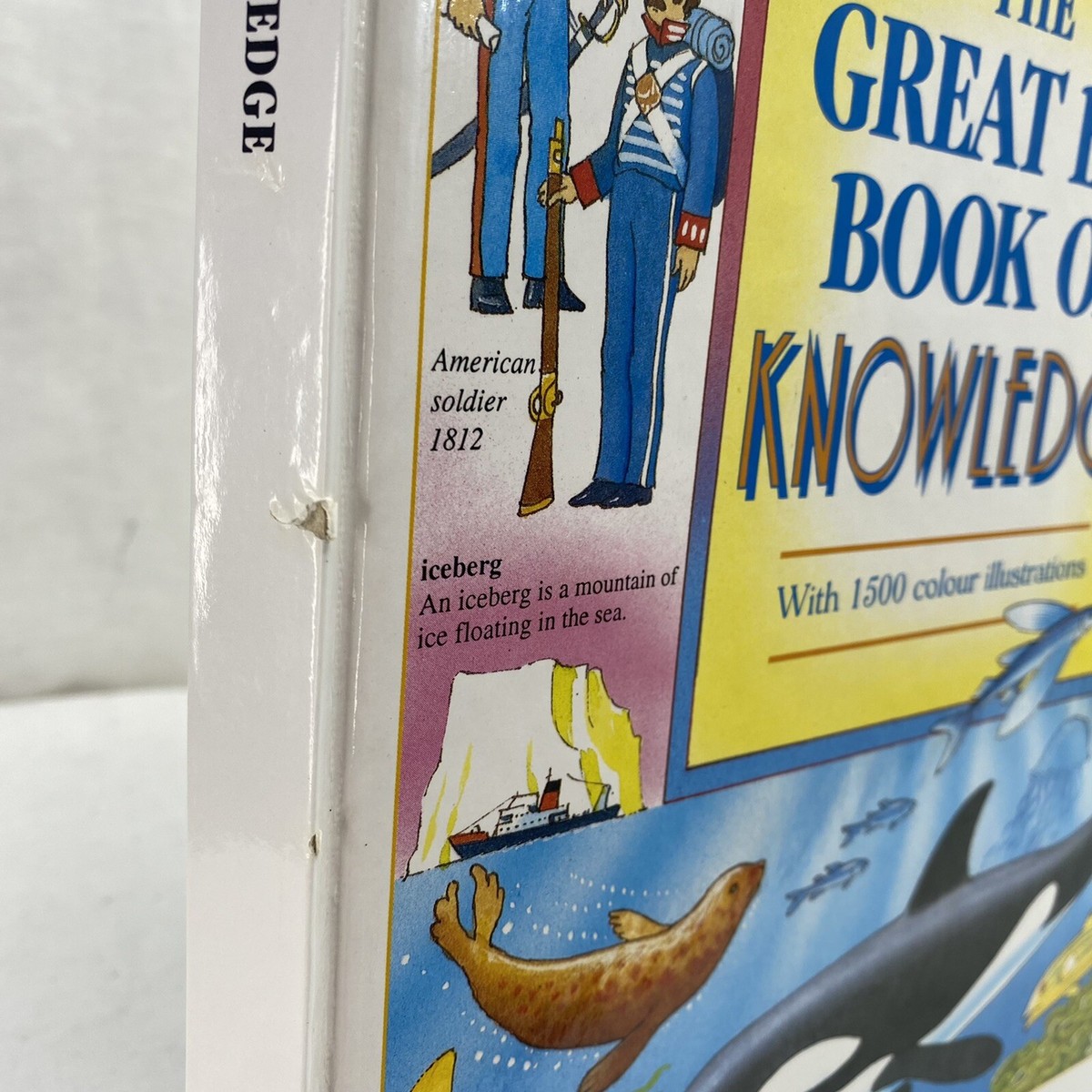 The Great Big Book Of Knowledge Hard Cover By Anne McKie