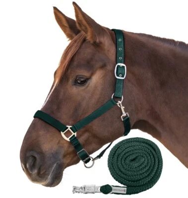 Pferde Halfter + Strick Set Waldhausen SATIN weich dunkel grün - SH Pony VB WB