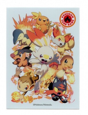 individual card sleeves TYPE FIGHTERS Fire Type Individual Card Sleeve Pokemon Center Japan  Original