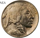 1913-D TY1 Buffalo Nickel TYPE 1 ~ Choice AU+ (Borderline Uncirculated)
